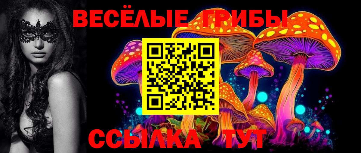 Псилоцибиновые грибы ЛСД  Вход с VPN  как найти закладки  Кемерово 